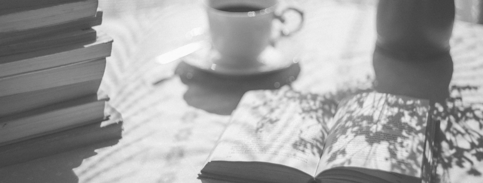 plano-libros-lector-banner